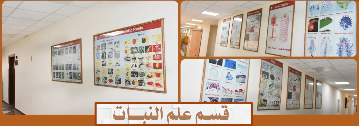 علم-النبات-1-1-1