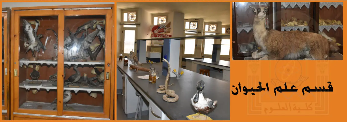 علم-حيوان-1
